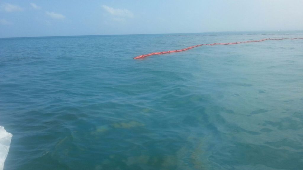 המשרד לאיכות הסביבה (1)