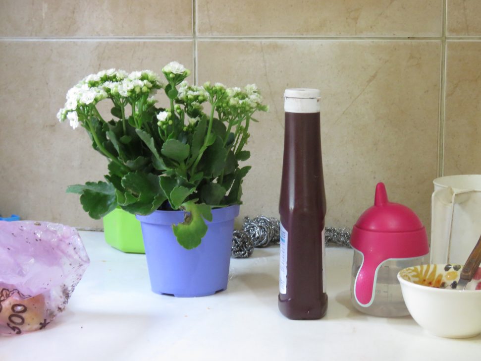 מוריה תעסן (1)