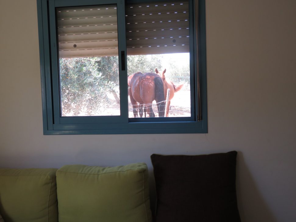 מוריה תעסן (7)