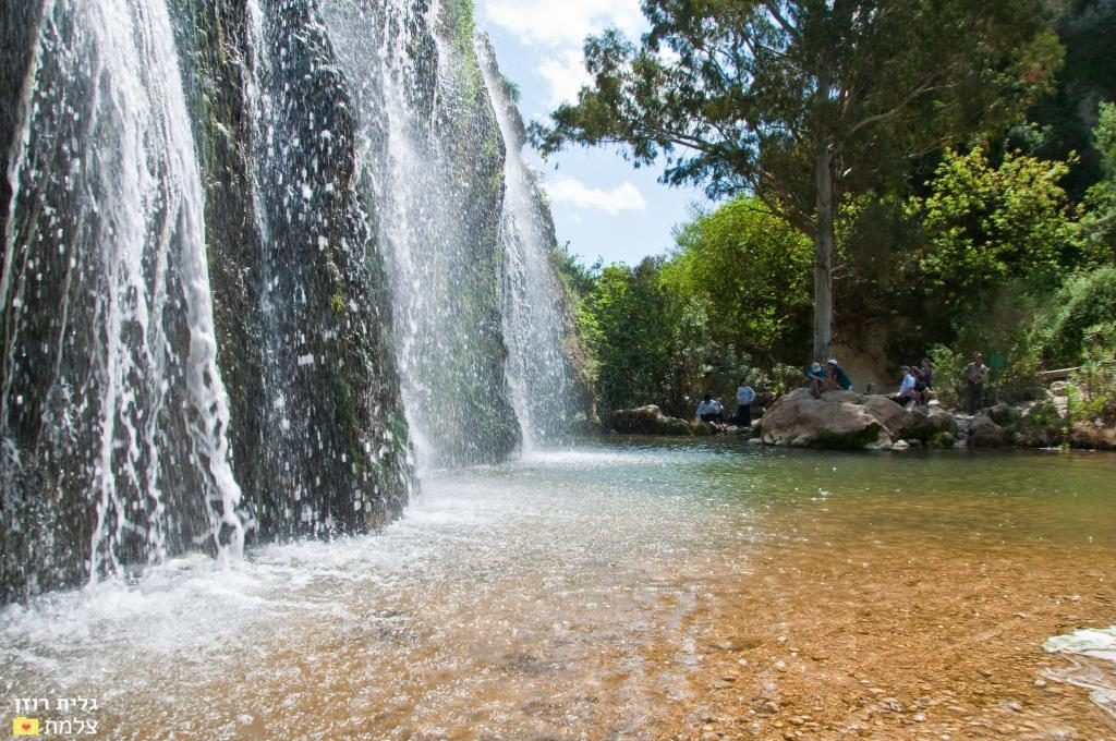 נחל עיון ( צילום: גלית רוזן)
