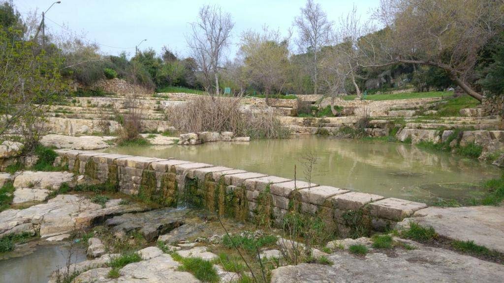 עין חמד (צילום: טל ניר)