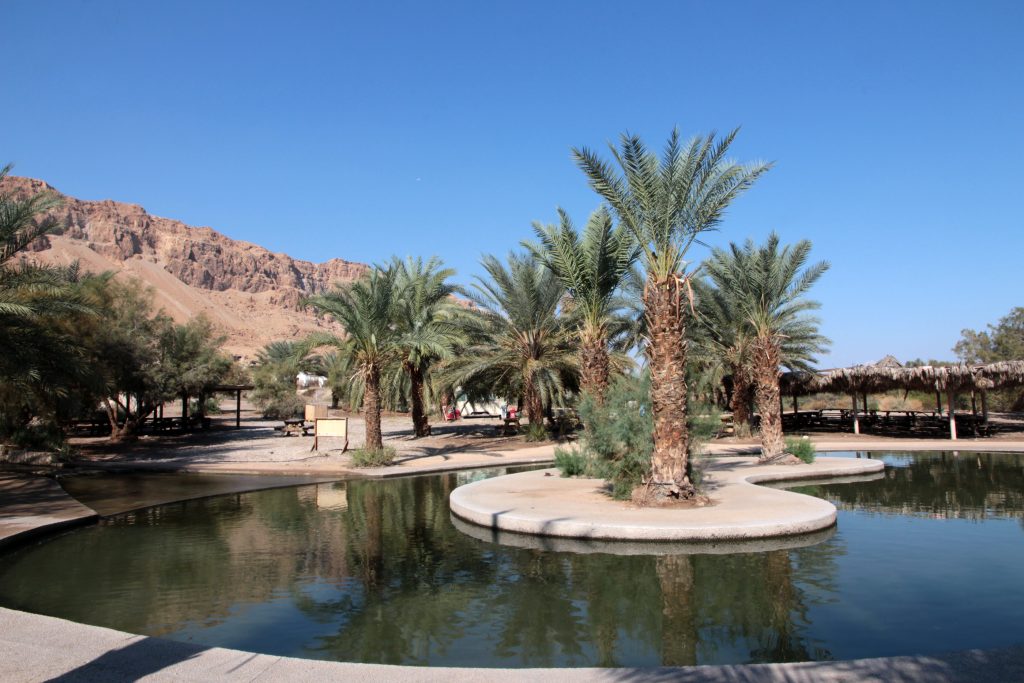 עינות צוקים ( צילום: יעקב שקולניק)