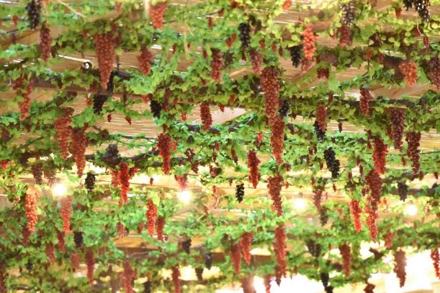 (צילום: יח"צ)