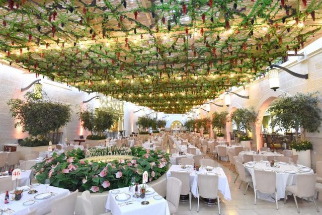 (צילום: יח"צ)