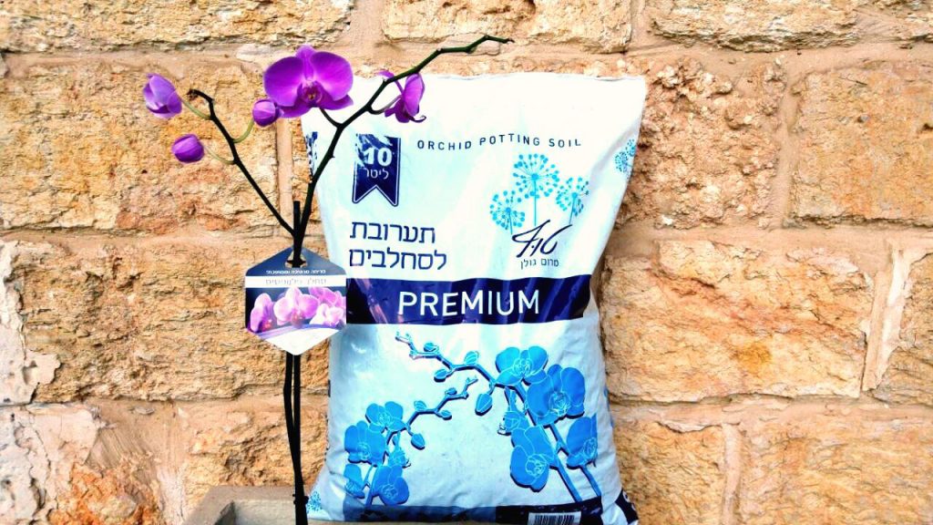 מצע טבעי חדש לגידול סחלבים- טוף מרום גולן-2