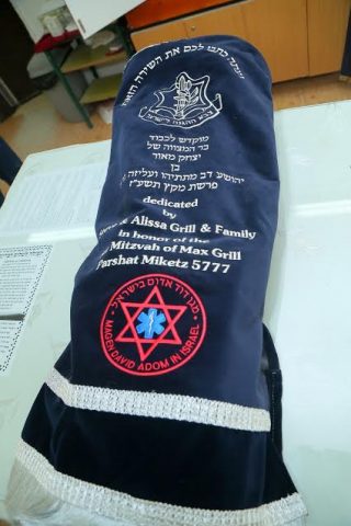 (צילום: דוברות מד"א) 