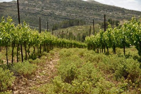 IMG-20161128-WA0004 (1)