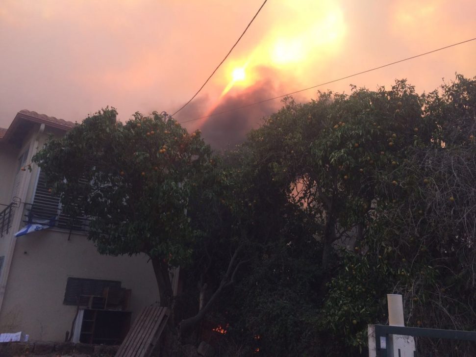 WhatsApp Image 2016-11-22 at 15.40.49