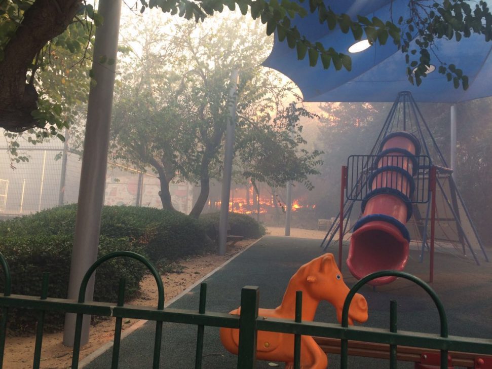 WhatsApp Image 2016-11-22 at 15.41.30 (2)