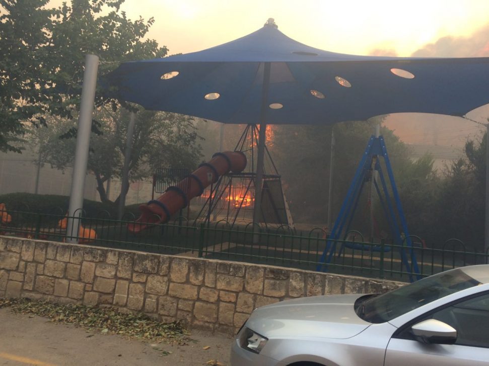 WhatsApp Image 2016-11-22 at 15.41.31 (1)