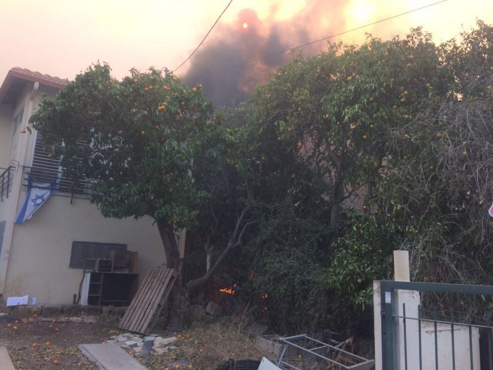 WhatsApp Image 2016-11-22 at 15.41.31