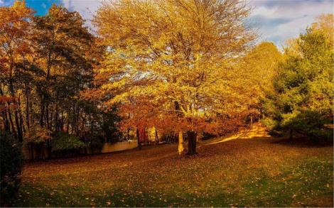 הנוף הקסום הסובב את הבית(צילום: Trulia)