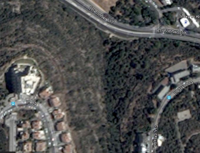 גבעת השבשבת