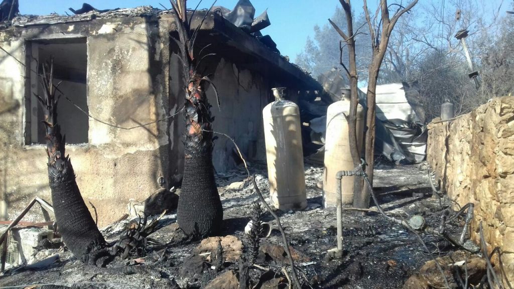 נווה צוף באדיבות המצולם (3)