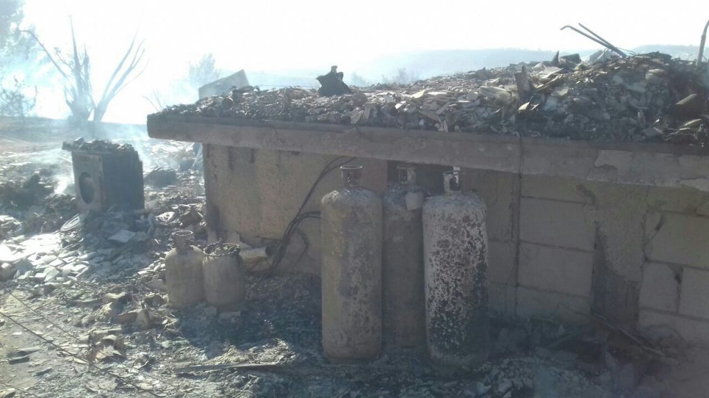 נווה צוף באדיבות המצולם (4)