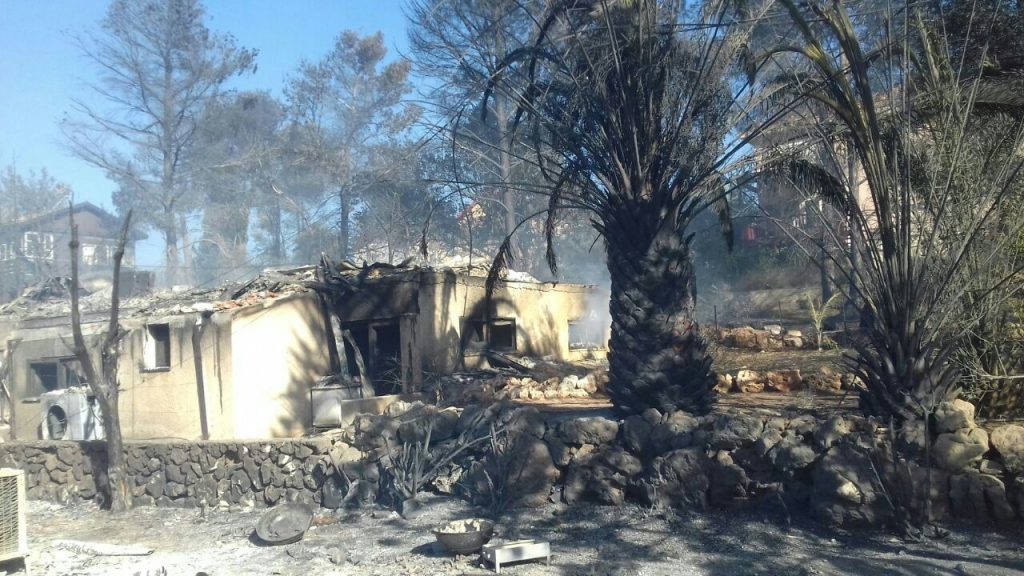 נווה צוף באדיבות המצולם (7)