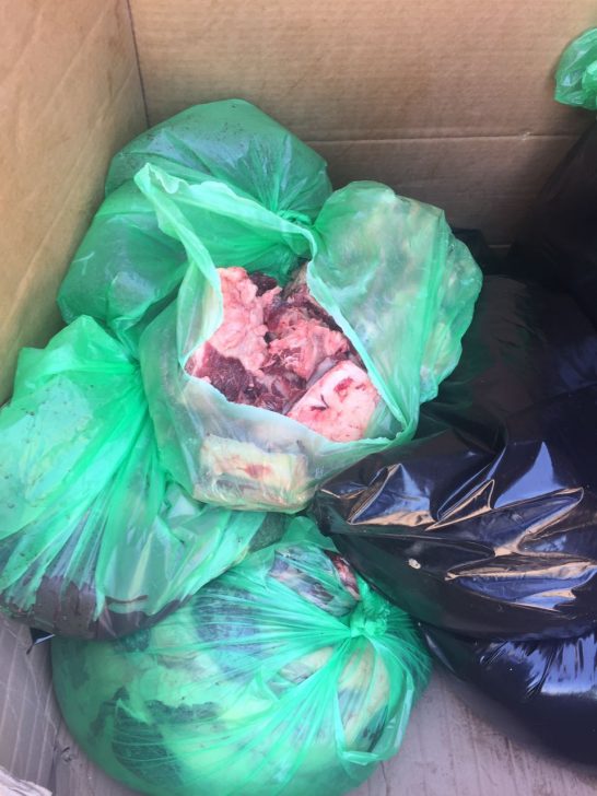 צילום - משרד החקלאות (1)