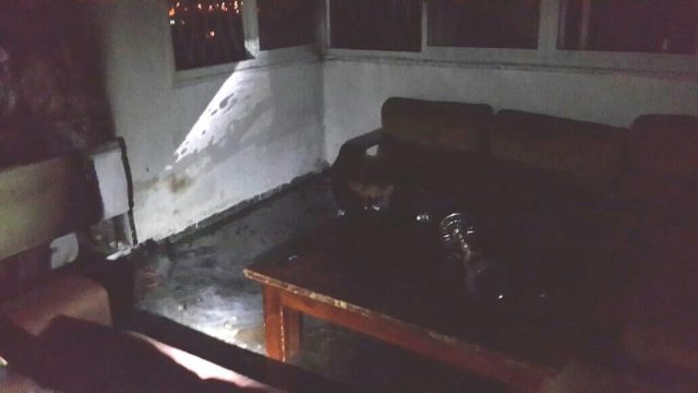 (צילום: דוברות המשטרה)