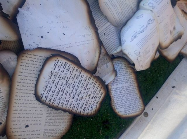 תמונות מההרס (צילום: דובי 