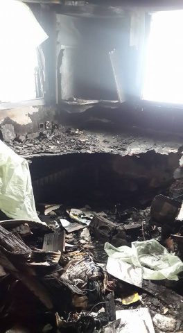 15267952_10209057398446277_5047747419989317723_n