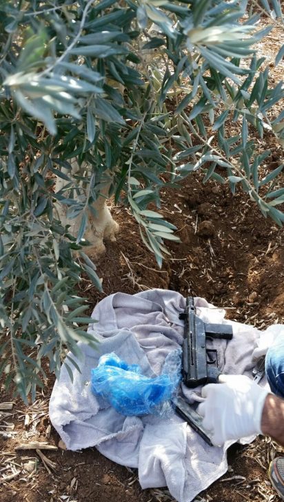 WhatsApp Image 2016-12-06 at 14.25.48