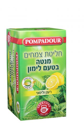 פומפדור. חליטת צמחים מנטה לימון | צילום: אפרת אשל