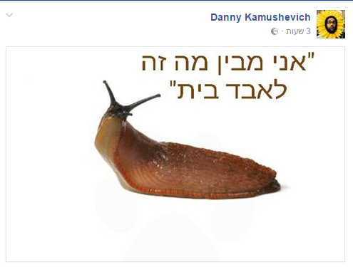 (צילום מסך מתוך פייסבוק)