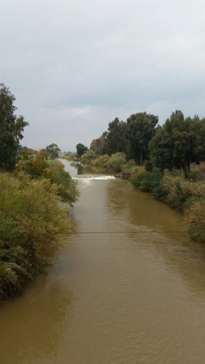 צילום רשות הכינרת (1)