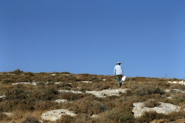 גבעה בשומרון. למצולמים אין קשר לכתבה (צילום: קובי גדעון/ פלאש90)