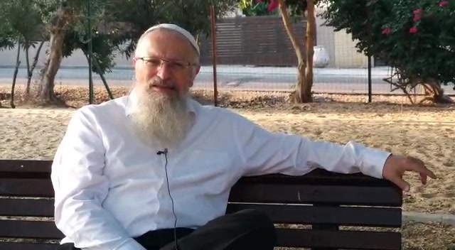 סיוע הצרעות והיתושים לכיבוש ארץ ישראל