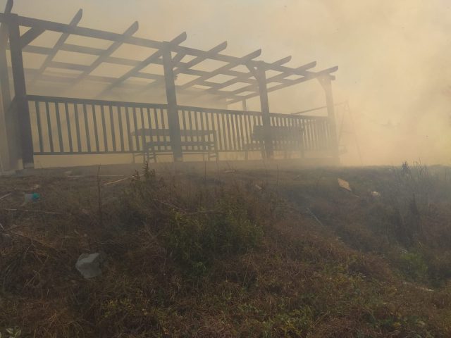 שריפה יצהר אוגוסט 2 צילום: רפאל ליבור