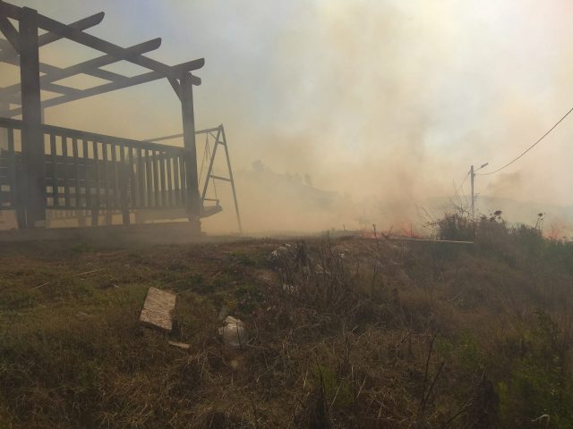 שריפה יצהר אוגוסט 2 צילום: רפאל ליבור