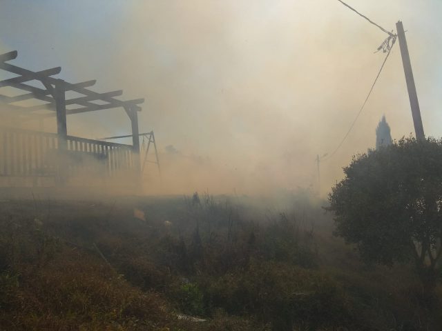 שריפה יצהר אוגוסט 3 צילום: רפאל ליבור