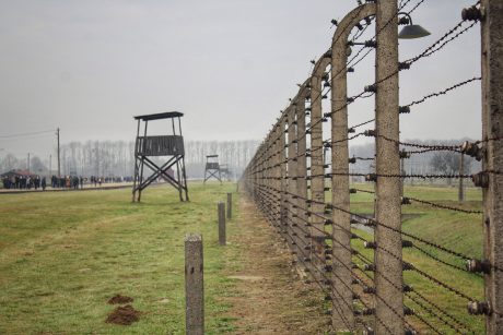 פולין/ אושוויץ/ שואה/ מסע