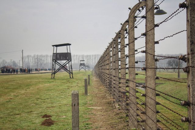 פולין/ אושוויץ/ שואה/ מסע