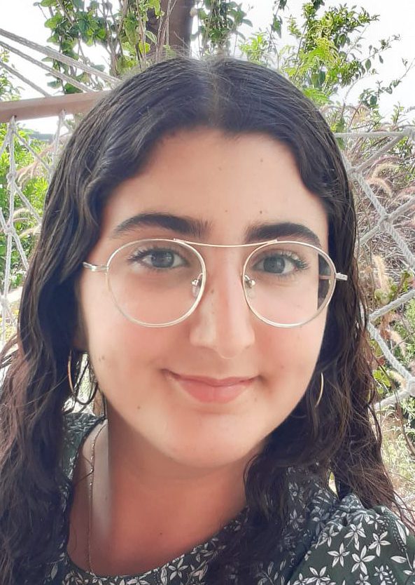 הדרך לבחירות רצופה כוונות, לאו דווקא טובות