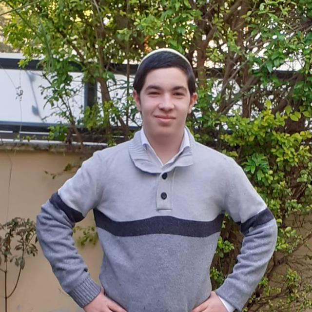 מפלגות המגזר: מארבע יוצא אחת