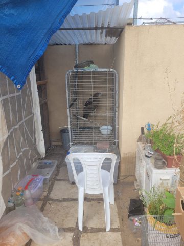 (צילום: שי קבסה רשות הטבע והגנים)