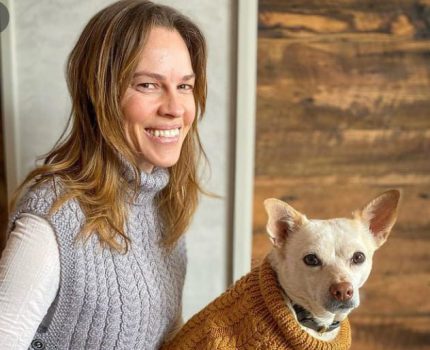 הילרי סוואנק