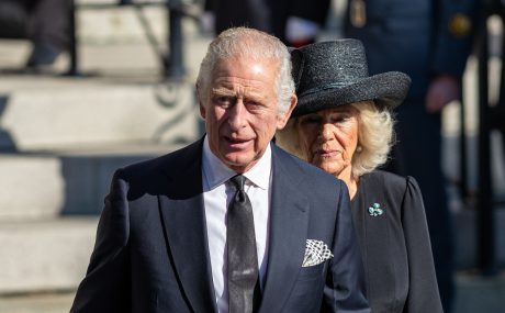 המלך צ'ארלס השלישי ורעייתו קמילה (צילום: sdfharkin / Shutterstock.com)