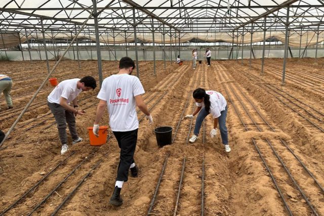 עובדי ועובדות פספורטכארד בהתנדבות למאמץ הלאומי
