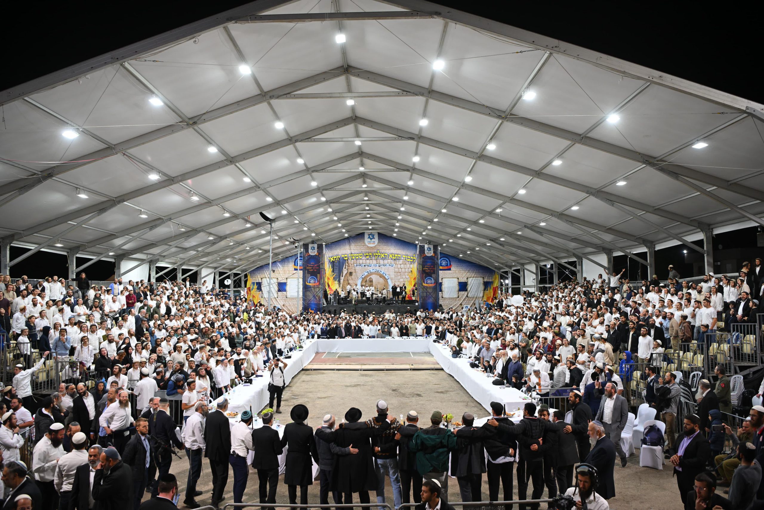 צילום: מני הוכטמן