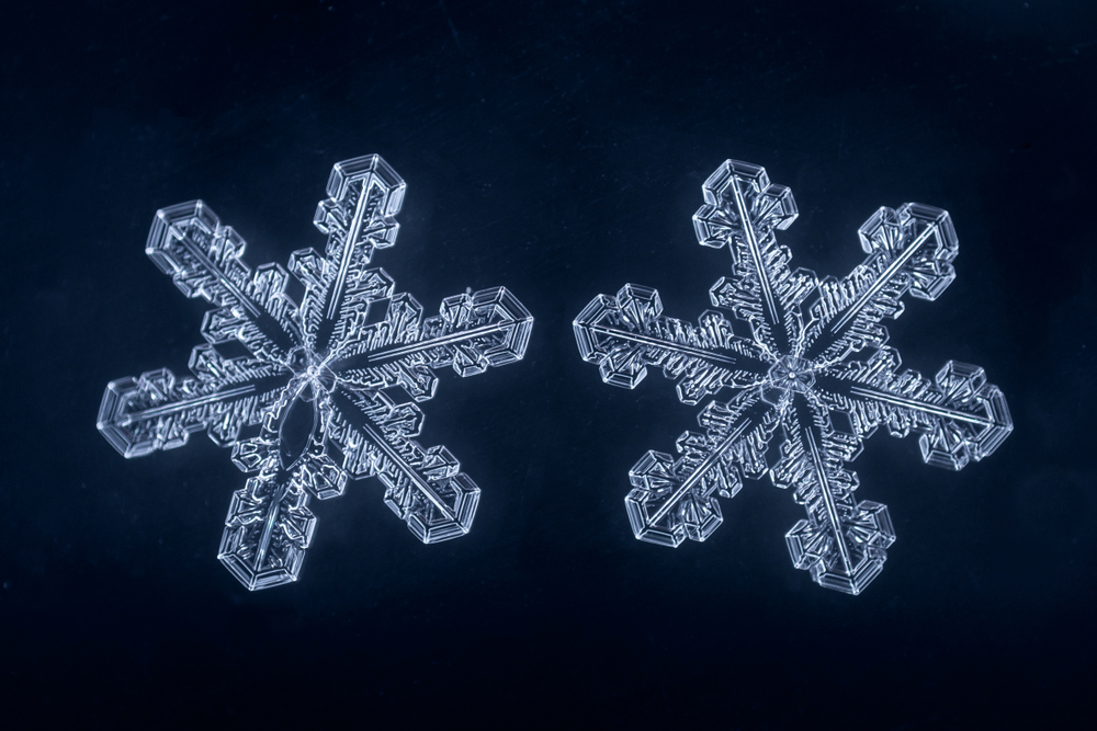 המסתורין של המים