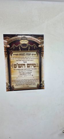 (צילום: חיים גרינבוים)