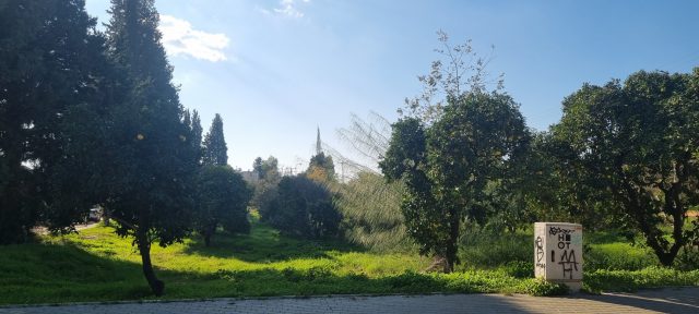 פרדס חנה כרכור